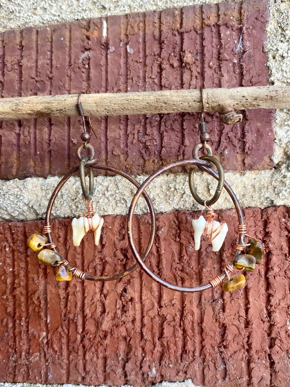 Tiger’s Eye + Swine Teeth Dangle Earrings in Brass
